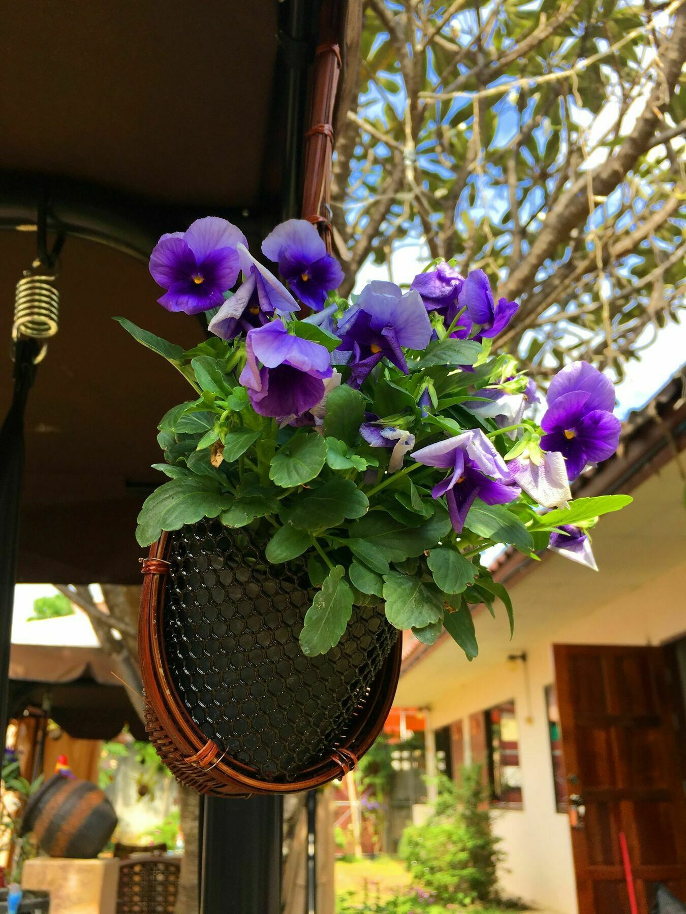 Cshouse Hotell Chiang Mai Exteriör bild
